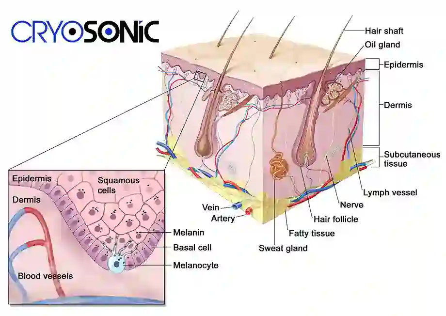 How Cryotherapy Stimulates Melanocyte Activity Bracknell